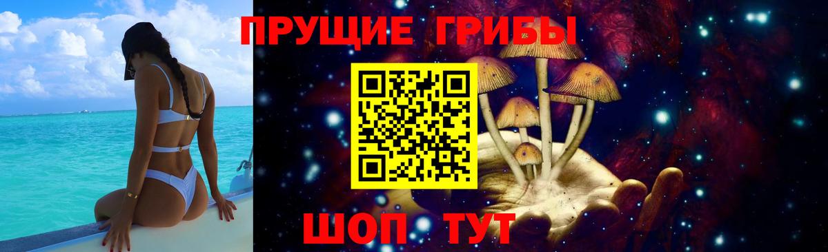 Мурино  Галлюциногенные грибы Cubensis  Псилоцибиновые грибы мицелий  Вход с VPN 